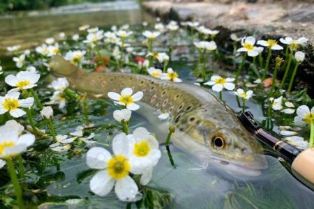 tenkara2019.2